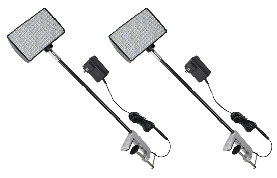 2 Piece LED Light + Mount (+$120)