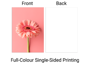 2_Custom+Presentation+Folders