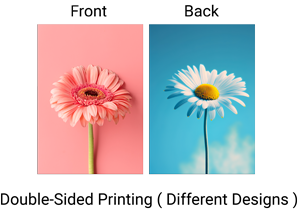 Custom+Presentation+Folders