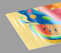 2_Custom+Presentation+Folders