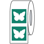 Bottom