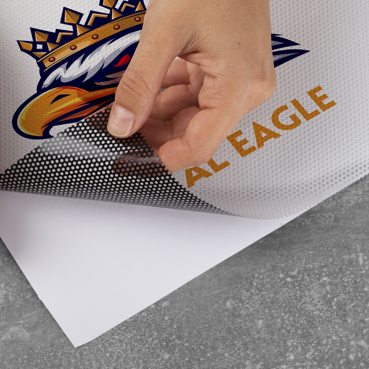 BG-Window-graphics-730-2